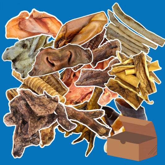Masticabox