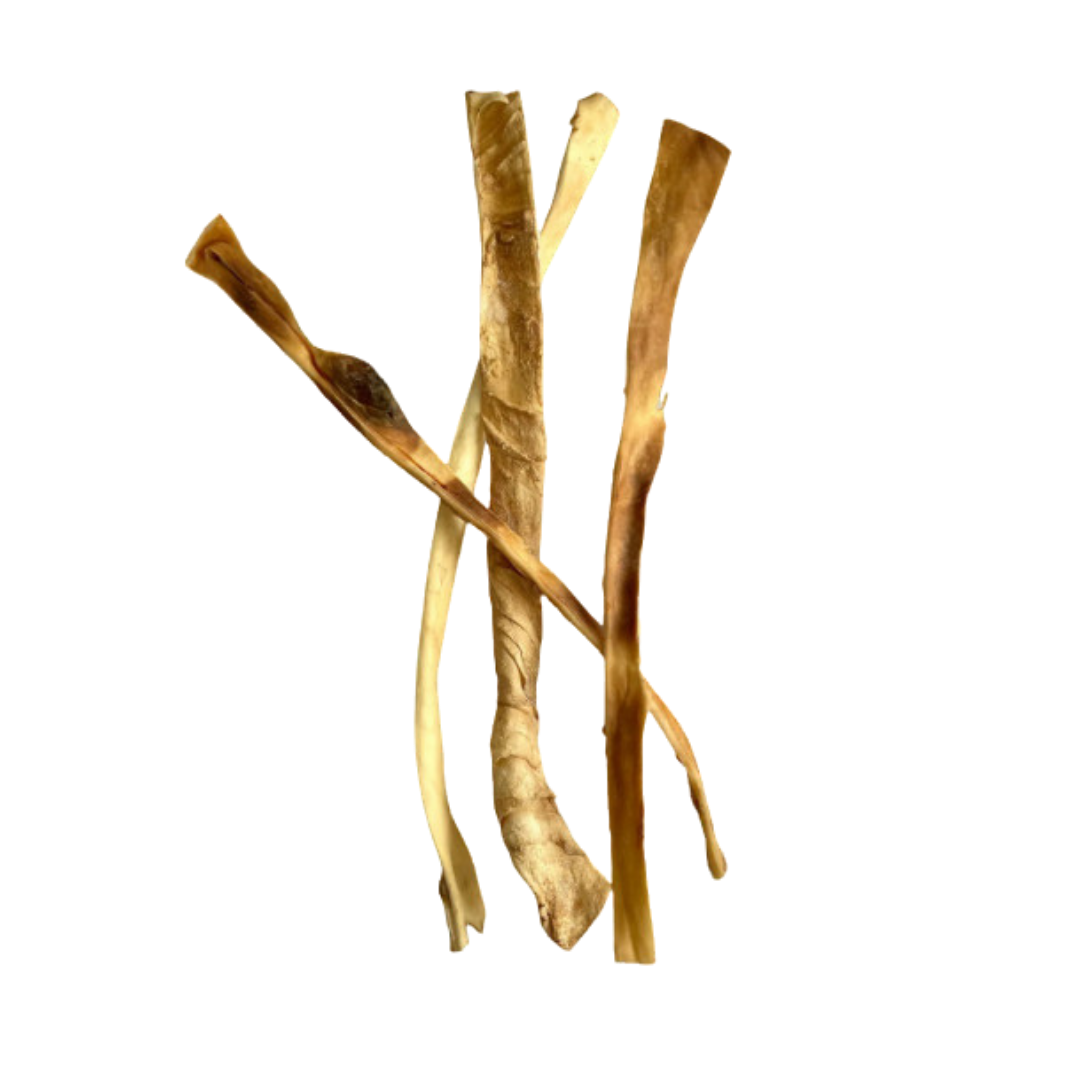 Méga peau de bœuf 70cm