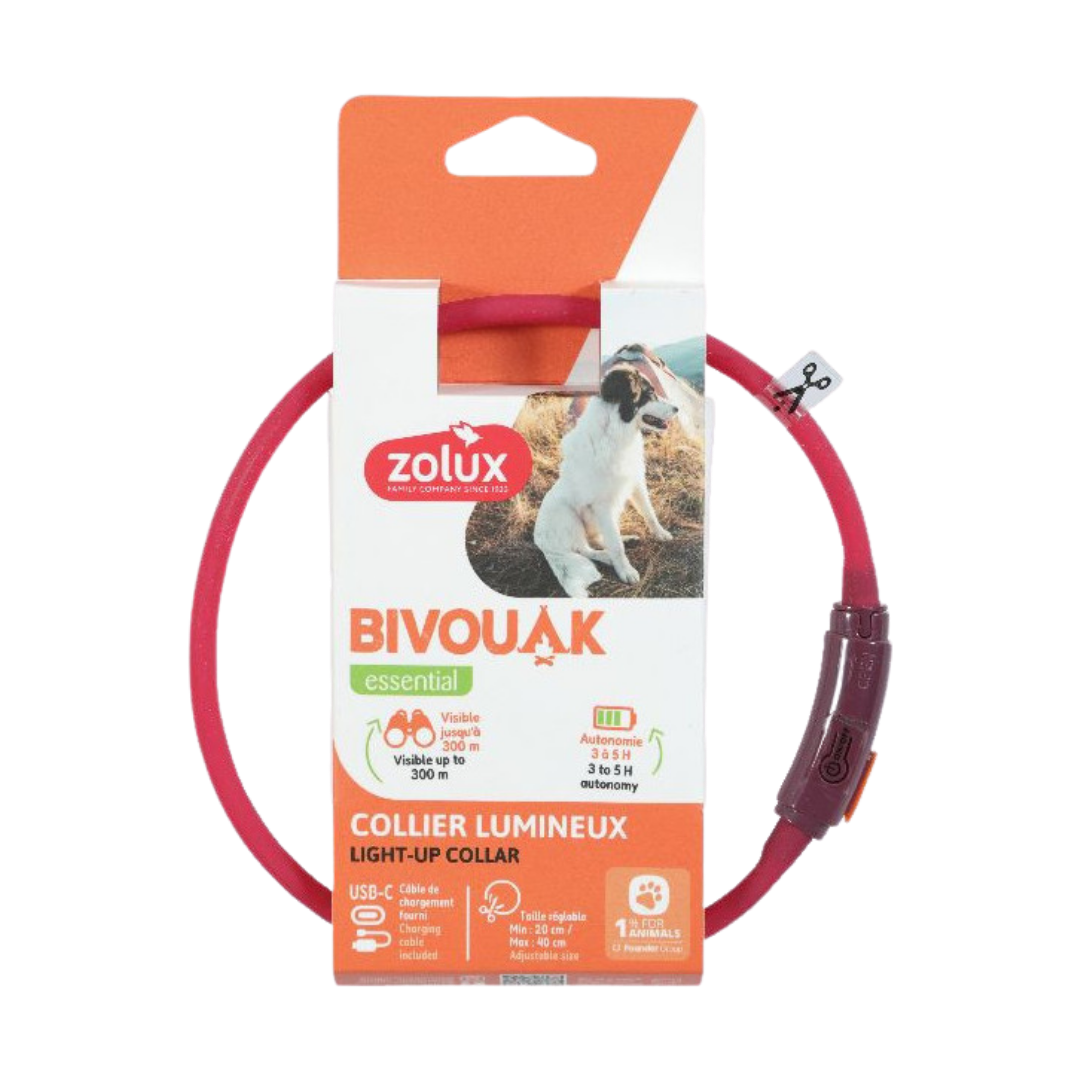 Zolux Bivouak – Collier Lumineux Poils Courts