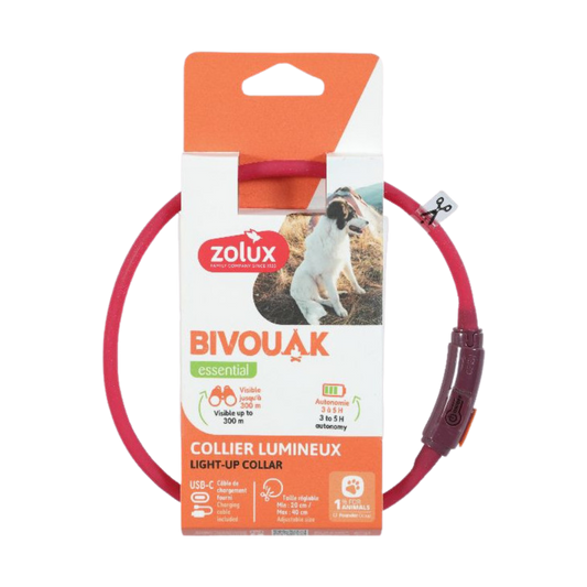 Zolux Bivouak – Collier Lumineux Poils Courts