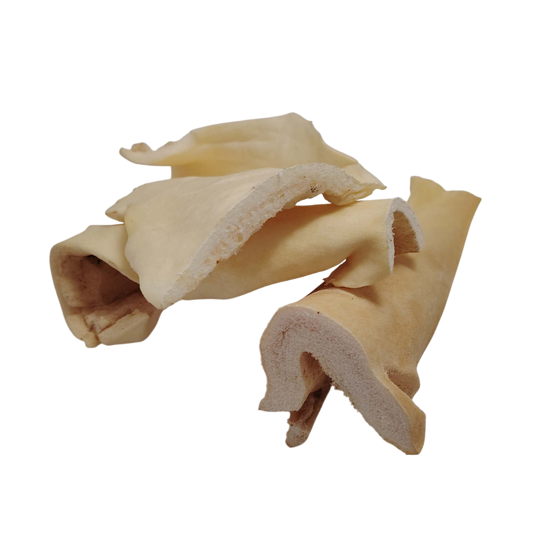 Peau de Boeuf Blanche 15cm
