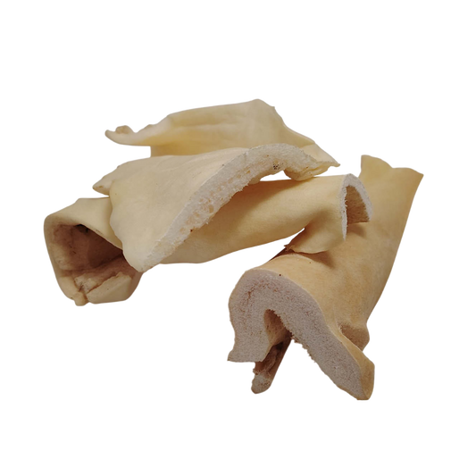 Peau de Boeuf Blanche 15cm