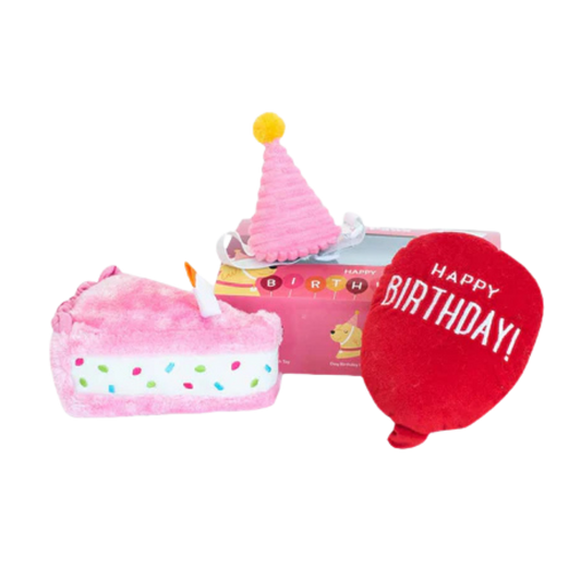 Zippy Paws Boîte d'anniversaire