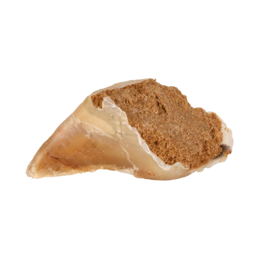Sabot de Boeuf Fourré