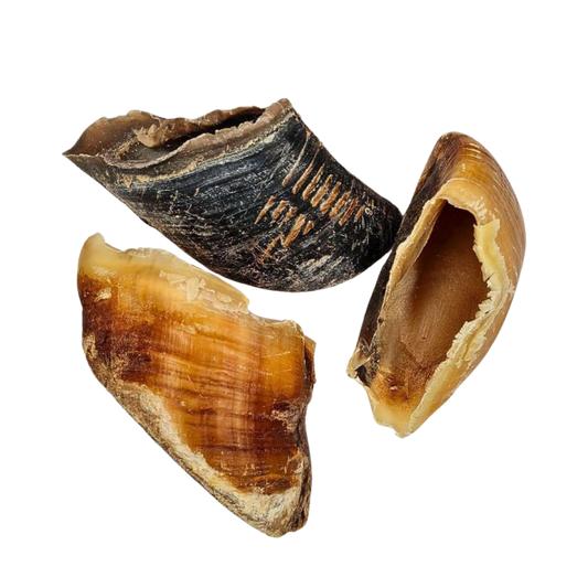 Sabot de Vache