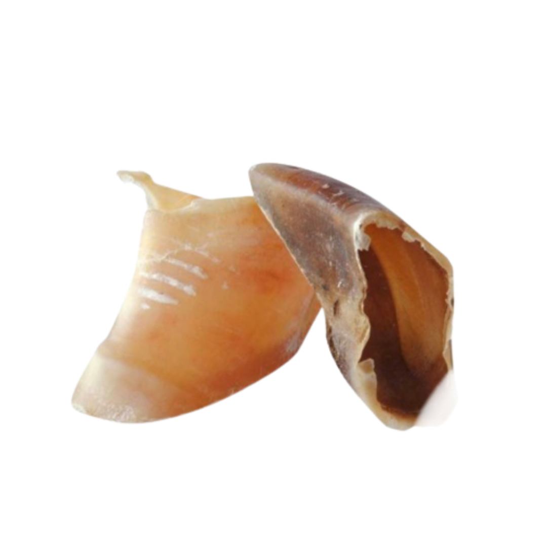 Sabot de veau