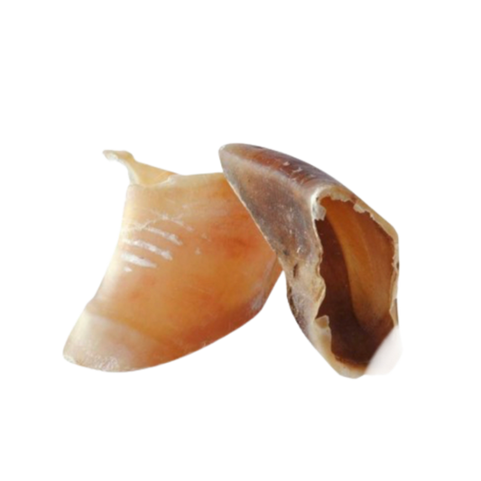 Sabot de veau