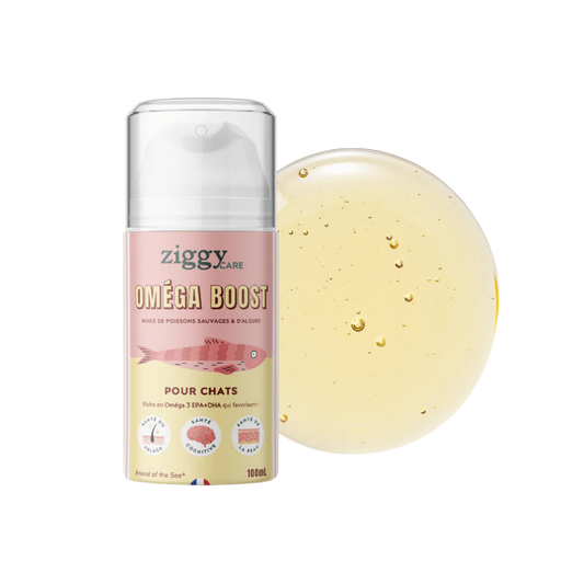 Ziggy - Huile Oméga Boost Poissons & Algues 100ml