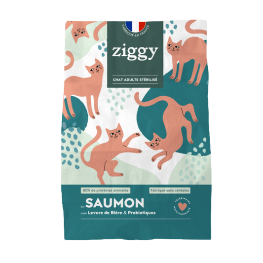 Ziggy - Croquettes Chat Stérilisé Saumon