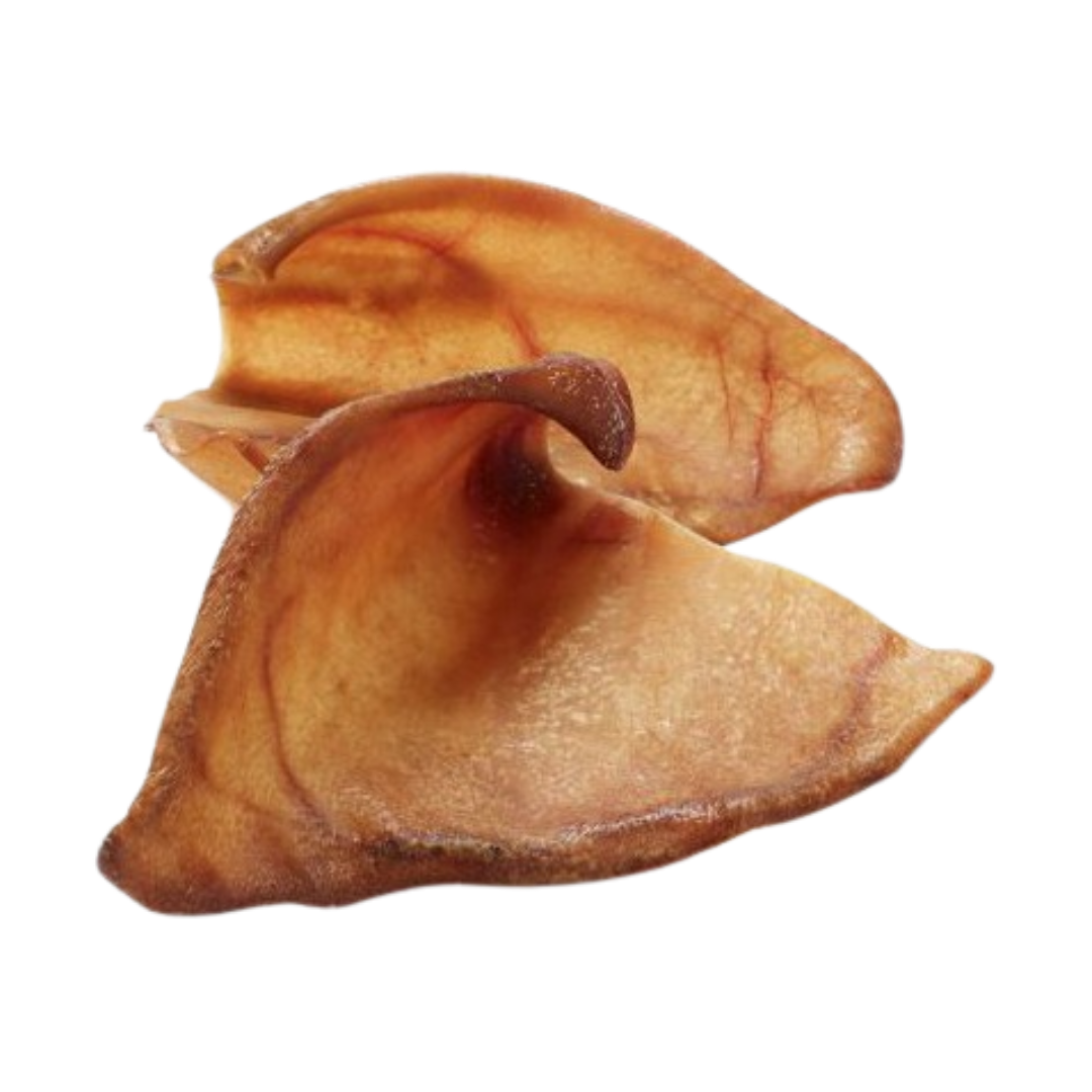 Oreille de Porc