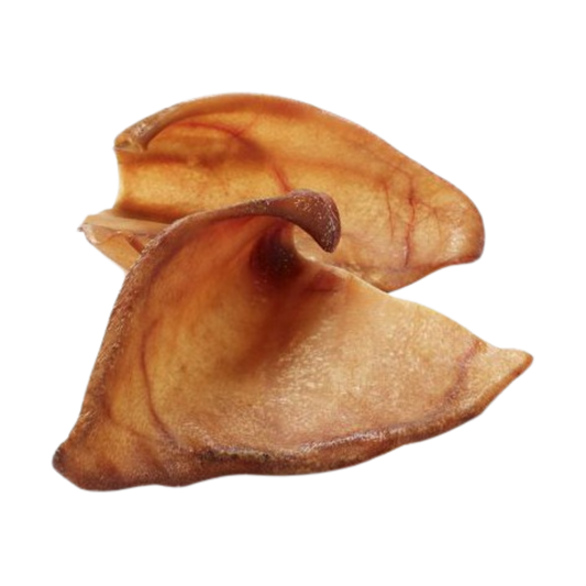 Oreille de Porc
